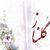 Golnaz Shapurian's profile image