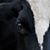 Christiane Bailey's profile image