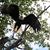 Kimberly Sklar's profile image
