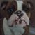 Mark Turkewitz's profile image