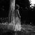 Elaine Stefanec's profile image
