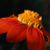 Linda Wagoner Blevins's profile image
