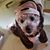 Doreen Taylor's profile image