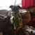 Laurel Blakeslee's profile image