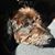 Nicole Morey's profile image