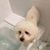 Mary Cohen's profile image