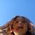 Meyer Madchen's profile image