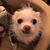 Hope Hensler Richardson's profile image