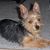 Cindee Archambault's profile image