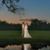 Ashley McCall's profile image
