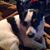 Nancy Arnold Rogowicz's profile image