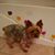 Cathy Burnette Burgess's profile image