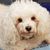 Vickie Bailey-Moon's profile image