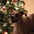 Sandra Brown's profile image