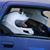 Peggy Farley's profile image