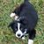 Amy Summers Dorsch's profile image
