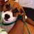 Cathim's profile image