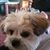 Laura Schaech's profile image