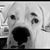 Jerry Niswonger's profile image