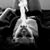BriBri La Basque's profile image