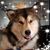 Suzy Heldreth's profile image