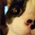 Faith Talnack's profile image