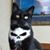 Ken Swierski's profile image