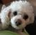 Tina Ortiz's profile image