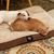 Jeffery Lawrence Daub's profile image
