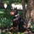 Sue Lindeman's profile image