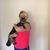 Lesley Anne Furst's profile image