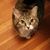 Alexandra Miles-Lasseter's profile image