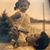 Sheena Denison Chambers's profile image
