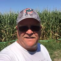 David Curtis's profile image