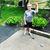 Jaime Thompson Geringswald's profile image