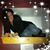 Tina Faloretti's profile image