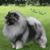 Carol Tucker's profile image