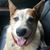 Wendy Walker Hodel's profile image