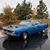 Marisa L. Cook's profile image