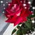 Elizabeth Savage Holloway's profile image