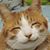 Jim Rosser's profile image