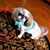 Katherine Donnelly's profile image