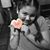 Luz Maria Torres's profile image