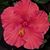 Carleen Marie's profile image