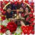 Surama Gonzalez's profile image