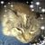 Theresa Tumlin Carter's profile image
