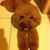 Vicky Pan's profile image