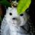 Andrea Bertram's profile image