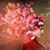 Madelyn Gllar's profile image