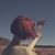 Charlotte Kelly's profile image
